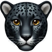 black jaguar sticker