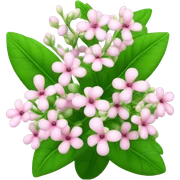 Borna dorinka sticker