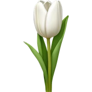 white tulip bouquet  sticker
