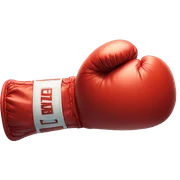 Boxing glove sticker