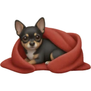 Black chihuahua in a red blanket sticker