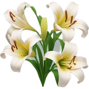 lily flowers sticker