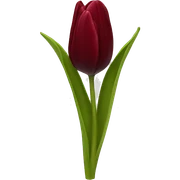 Dark red tulip sticker