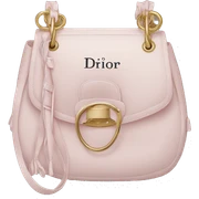 dior bag sticker