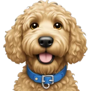 Golden doodle blue collar sticker