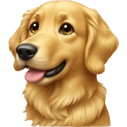 Gold retriever  sticker