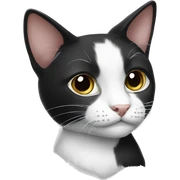 black and white cat sticker