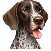 German shorthair pointer sticker