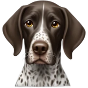 German shorthair pointer  sticker