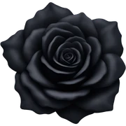 Black roses sticker