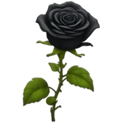 black rose fire sticker