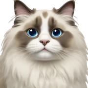 ragdoll cat sticker