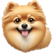 Pomeranian sticker