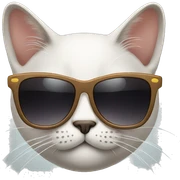 Cat with sunglasses sticker