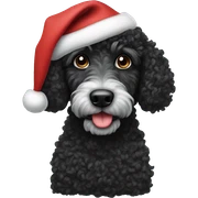 Black curly doodle with Santa hat sticker