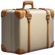 suitcase sticker