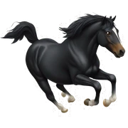 Black horse bucking sticker