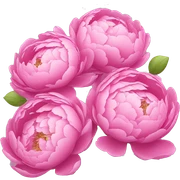 Bouquet of pink peonies sticker