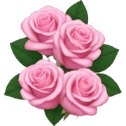 Pink roses sticker