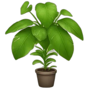 Plante sticker