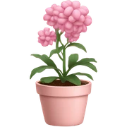 Pink plant in pale pink pot sticker