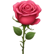 Hot rose sticker
