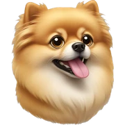 Pomeranian sticker