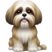 Shih tzu  sticker