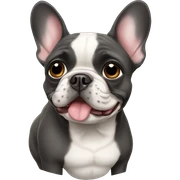 French bulldog  sticker