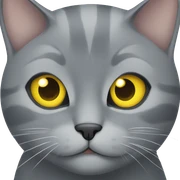 A grey cat with yellow eyes sticker