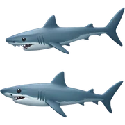 shark flute sticker