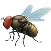 Fly sticker