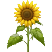 sunflower sticker