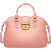 purse sticker