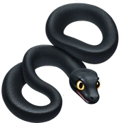 Black snake sticker