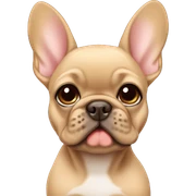 Fawn frenchie pup sticker