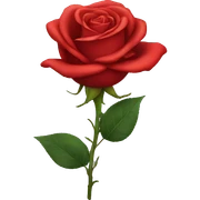 red rose sticker