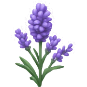 Lavender  sticker