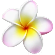 Plumeria  sticker