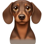 brown shorthair dachshund sticker