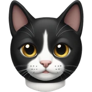 Tuxedo cat sticker