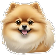 Pomeranian shpits sticker