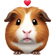 guinea pig with heart sticker