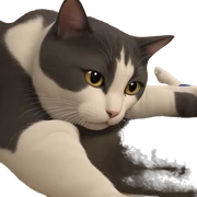 focused cat with bottle sticker