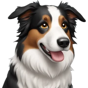 border collie sticker