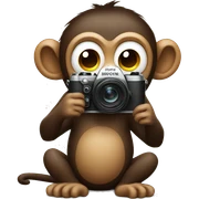 Monkey with camera sticker