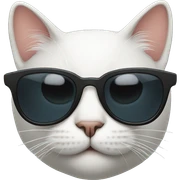 Cat with sunglasses sticker