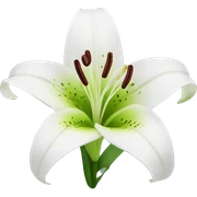 Lily flower sticker