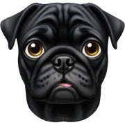 black pug  sticker