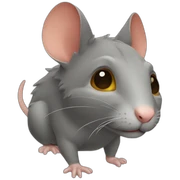 Raton laver sticker